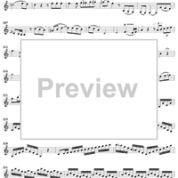 Clarinet Concerto in A Major, K622 - Clarinet