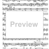 Jubilee Concerto for Celeia - Cello