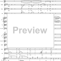 "O selige Wonne! Die glänzende Sonne steigt", No. 8 from "Zaide", Act 1, K336b (K344) - Full Score