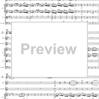 Flute Concerto No. 1 in G Major K285c (K313) - Full Score