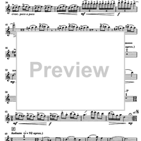 Música per a un estiu (Music for a Sommer) - Flute