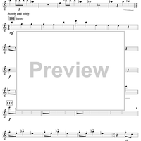 Harry's Wondrous World