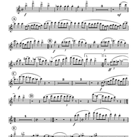 Turkey in the Straw - Flute