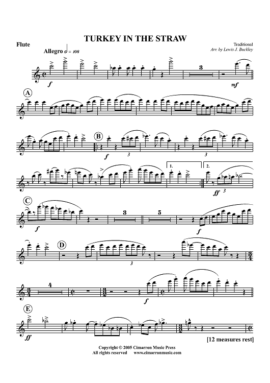 Turkey in the Straw - Flute