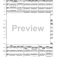 Allegro from Concerto in D Major - Score