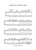 Sonata No.2 in Bb Minor Op.35 (Funeral March)