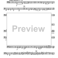 Musica Festiva - Tuba 2