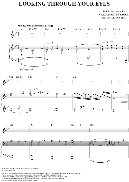 Looking Through Your Eyes