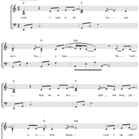 I Want To Follow You