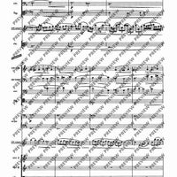 Il Vitalino raddoppiato - Full Score