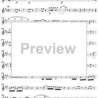 Grand Quatuor Concertante, Op. 53, No. 2 - Flute 3