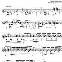 Il Trovatore Op. 8 No.27