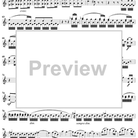 Violin Concerto in E Minor - Violin