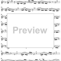 Sonata No. 22 in G Minor - Flute