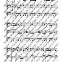 Zwölf Cassationsstücke - Performing Score