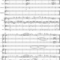 Piano Concerto No. 17 in G Major, Movement 3 (K453) - Full Score