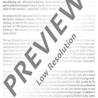 Sonata E minor in E minor