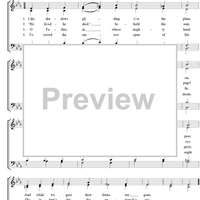 Like Shadows Gliding O'er the Plain