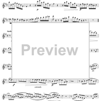 Sonata ("Undine"), op. 167 - Flute