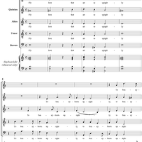 Fly Love That Art So Sprightly