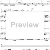 Flute Concerto in G Major - Piano