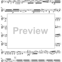 Violin Duets, Op. 71 - Violin 2