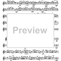 Concerto in F Major for Flute, Strings and Cembalo - Flute