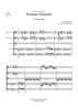 Sinfonia Pastorale - Score