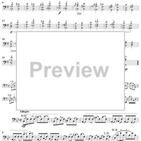 113 Studies for Cello, Book 1, Nos. 18 - 34