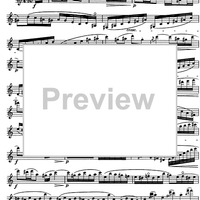 The Accomplished Clarinettist Vol. 1 - Clarinet