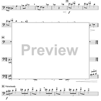 Harry's Wondrous World