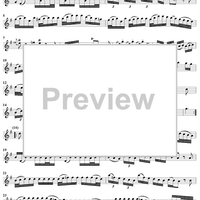 Sonata No. 19 in E Minor - Flute