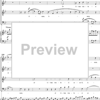 Mass No. 9 (Sancti Bernardi) in B-flat Major, "Heiligmesse": No. 3. Credo