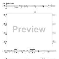 Perseus - Double Bass