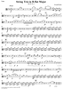 String Trio in B-flat Major, Op. 53, No. 2 - Viola