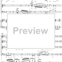 Mass No. 13 in B-flat Major: No. 5, Benedictus