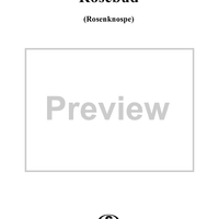 The Rosebud, Op. 18, No. 8