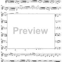 Concerto in G Major - Violin 4