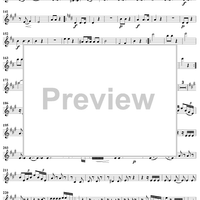 Grand Quatuor Concertante, Op. 53, No. 2 - Flute 4