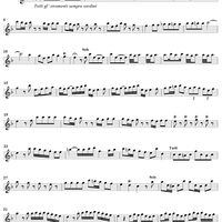 Flute Concerto in F Major, Op. 10, No. 5 - Flute