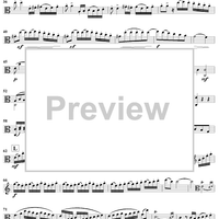 Duet No. 2 in A Minor - Viola 1