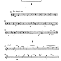 I Sette Veli - B-flat Tenor Saxophone