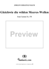 "Gleichwie die wilden Meeres-Wellen", Aria, No. 3 from Cantata No. 178: "Wo Gott der Herr nicht bei uns hält" - Violin
