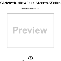 "Gleichwie die wilden Meeres-Wellen", Aria, No. 3 from Cantata No. 178: "Wo Gott der Herr nicht bei uns hält" - Viola