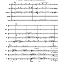 Reflections Of Life - Score