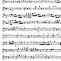 Divertimento No. 2 D Major KV131 - Flute