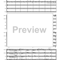 Concerto in F Major No. 13 - "The Cuckoo and the Nightengale" - Score