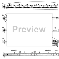 Sylvie et le paon - Flute