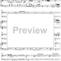 Piano Trio in E-flat Minor, HobXV/31 - Piano Score