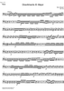 Divertimento No. 1 Eb Major KV113 - Bass